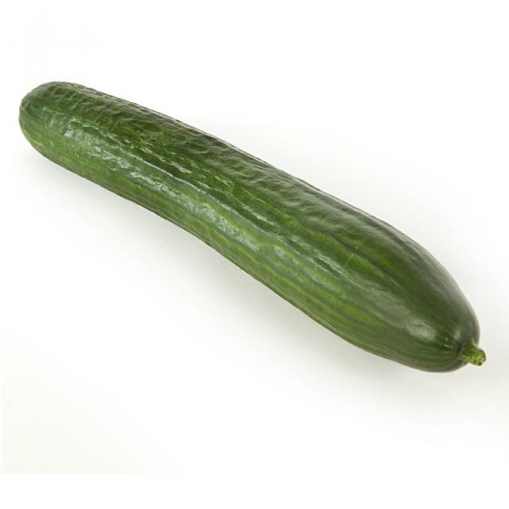 Fresh Whole Cucumber Approved Food